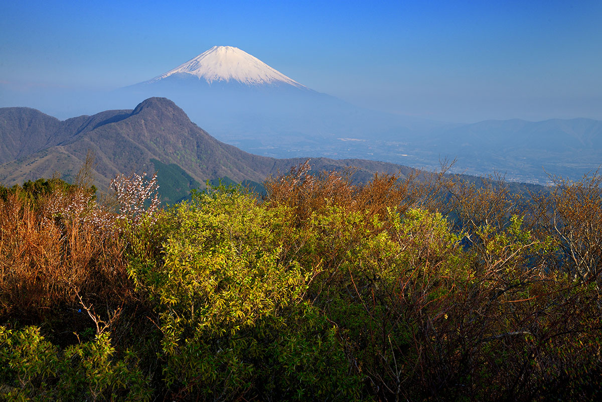 明神ケ岳からの富士山