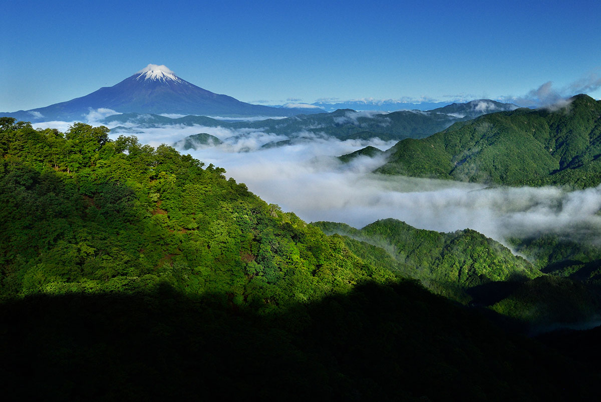 丹沢・塔ノ岳より
富士山展望