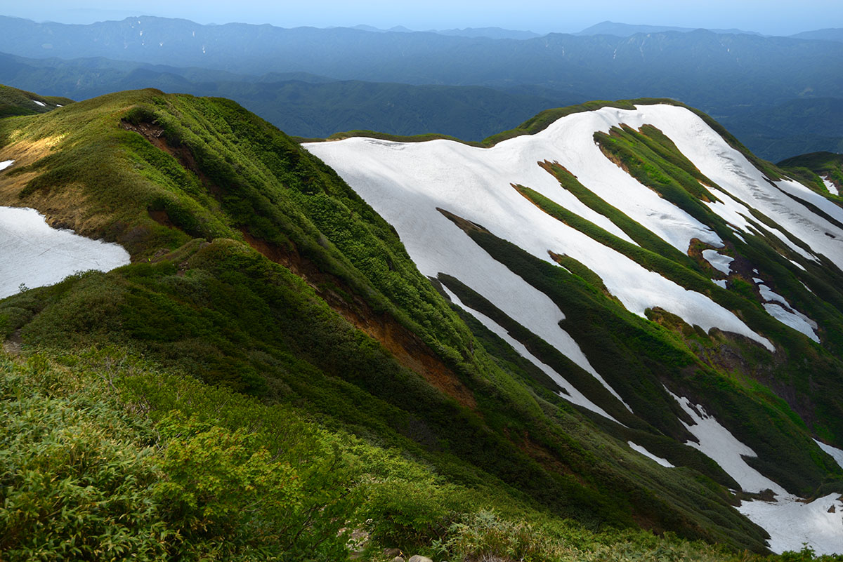 新緑と残雪の月山