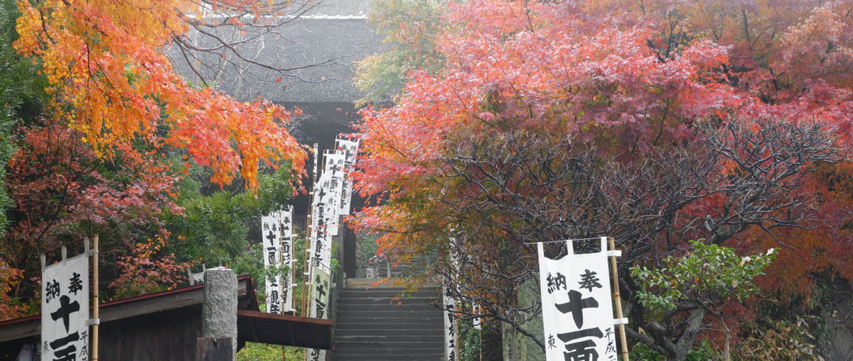 あじさい 梅 紅葉 花の鎌倉 鎌倉 写真